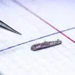 Niyə bələdçilər bəzən bal ovçularını arı ailələri yerinə təhlükəli heyvanlara aparırlar?