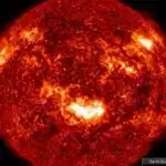 Su buxarı gələcək nəsil yumşaq robotları necə gücləndirir