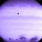 Müxtəlif ağac populyasiyaları şəhərləri iqlimə daha davamlı və insanları daha xoşbəxt edə bilər