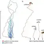 117 milyon illik palçıq dalğaları Atlantik Okeanının yaranmasından xəbər verir