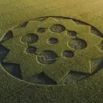 ‘Ən yaxşı halda axmaq, ən pis halda aldadıcı və təhlükəlidir’: Şırıngaya inanmayın — işdə buna görə süni ümumi intellekt milyarderlərin dediyi kimi deyil.