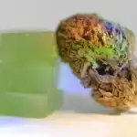 ‘Ən yaxşı halda axmaq, ən pis halda aldadıcı və təhlükəlidir’: Şırıngaya inanmayın — işdə buna görə süni ümumi intellekt milyarderlərin dediyi kimi deyil.