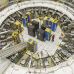 Tədqiqat 170 milyon il əvvəl sürətli spesifikasiyanı aşkar edərək diatom həyat ağacını həll edir