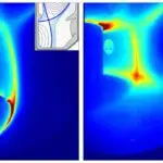 Paranthropus robustus dişlərinin mina zülalları bioloji cinsi və genetik dəyişkənliyi aşkar edir