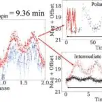 Yaz gündönümü bitkilər üçün optimal gündür, lakin iqlim dəyişikliyi bu vaxtı poza bilər