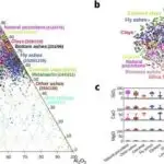 LSD-nin ixtiraçısı tərəfindən axtarılan çoxdan gözlənilən sirli göbələk kəşf edildi