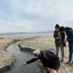 “Kosmik doldurma təbəqəsi” effekti bərk vəziyyətdə olan batareyanın işini artıra bilər