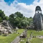 Paranthropus robustus dişlərinin mina zülalları bioloji cinsi və genetik dəyişkənliyi aşkar edir