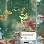 Niyə yarasalar xərçəngə tutulmur? Tədqiqatçılar genlərdən və güclü immun sistemlərdən qorunma tapırlar