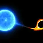 Probiyotiklər Karib dənizi riflərini məhv edən ölümcül xəstəliyin yayılmasını ləngidə bilər