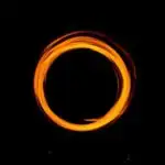 Vegetarianizm muxtariyyət və uyğunsuzluq dəyərlərinə bağlıdır