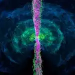 Texnika evdə qulluq edən işçilərini gücləndirə bilər, nəinki onlara nəzarət edə bilər