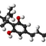 Quş növlərində spirt istehlakı: Quşlar qanadda içə bilər, lakin mülayimdir