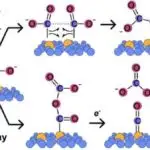 Zülal bağlayan yaxınlıq modeli, AI-nin dərman kəşfində rolunu genişləndirir