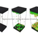 Okeanlardan savannalara qədər həyat tək bir qayda ilə izah olunur