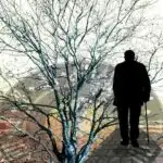 “Optik neyron mühərriki” qismən diferensial tənlikləri həll edə bilər