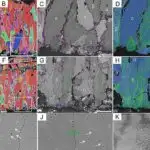 İstiləşmə iqlimi ağacların buraxdığı CO₂ miqdarı ilə bağlı ssenarini dəyişdirə bilər, tədqiqatın nəticələri