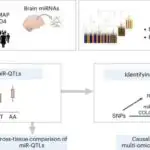Yaddaş metallar üzərində kvant atom hərəkəti üçün vacibdir