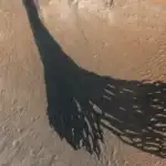 Onilliklər boyu riyaziyyatçıları çaşdıran “yadplanetlilərin dili” problemi nəhayət həllə yaxınlaşa bilər