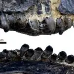 Uebb ultra isti ekzoplanet WASP-121b-nin mənşəyini açıqlayır