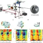 Beyin araşdırması psixiatrik və neyrodegenerativ pozğunluqlara səbəb ola biləcək mikroRNT-ləri müəyyən edir