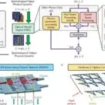 Uzunmüddətli tədqiqat orta yaş damar sağlamlığını sonrakı demans riski ilə əlaqələndirir