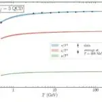 Vegetarianizm muxtariyyət və uyğunsuzluq dəyərlərinə bağlıdır