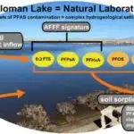 Sosial məsələləri “vətəndaş hüquqları” kimi qələmə vermək bəzən əks nəticə verə bilər