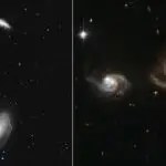 Alimlər fosilləşmiş sümük parçalarından növləri müəyyən etmək üçün yeni markerlər tapırlar