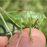 Havada üzən DNT vəhşi təbiəti, virusları, hətta narkotikləri də izləyə bilir