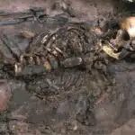 Təcrübələr göstərir ki, insanların çoxu ixtiyari qaydalara riayət etmək onların maraqlarına uyğun olmasa belə