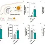 Antropoloqlar neandertalların Avropa və Avrasiya boyunca uzun və dolama yollarının xəritəsini çəkirlər
