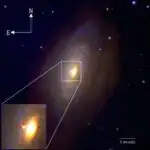 Ölçəklənə bilən üsul öz-özünə bərpa olunan, uzana bilən tranzistorlar və sxemlər yaradır