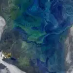 İmmunosupressiv nanohissəciklər heyvan modellərində aterosklerozun inkişafını ləngidir