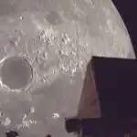 Buğdada göbələk müqaviməti: Qida təhlükəsizliyi üçün biomüxtəlifliyin qorunması