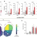 Zülal bağlayan yaxınlıq modeli, AI-nin dərman kəşfində rolunu genişləndirir