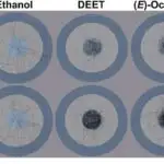 Ölçəklənə bilən üsul öz-özünə bərpa olunan, uzana bilən tranzistorlar və sxemlər yaradır