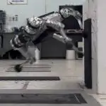 TMEM63B proteini məməlilərə susuzluq hiss etməyə imkan verir