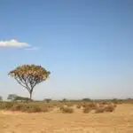 Kiçik ulduzun ətrafında fırlanan nəhəng planetin kəşfi planetlərin əmələ gəlməsi ilə bağlı nəzəriyyələri çətinləşdirir