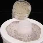 Maral gənələrini dəf edən eşşək dərisi ifrazatı DEET-ə təbii alternativ kimi vəd edir