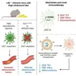 Superkompüter simulyasiyası birləşən neytron ulduzlarının qara dəlikləri və güclü reaktivləri necə əmələ gətirdiyini ortaya qoyur
