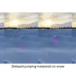 Ultra nazik linzalar infraqırmızı işığın görünməsi üçün hadisə dalğa uzunluğunu yarıya endirir