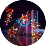 Glial əvəzedici terapiya yetkin siçanlarda Huntington xəstəliyini yavaşlatır