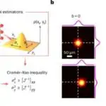 Cannabis ekstraktı laboratoriya testlərində göbələk infeksiyalarının müalicəsi üçün vəd göstərir