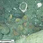 Qurğuşun izotop analizi, tamamilə İspan xəzinə donanmasının gümüşündən hazırlanmış Hollandiya hövzəsinin əfsanəsini pozur