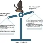 Karbon tutma üsulu sement inqrediyentlərini havadan çıxarır