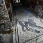 Tədqiqatçılar ‘əbədi kimyəvi maddələrin’ istifadəsini azaldaraq daha təhlükəsiz yapışmayan səth yaradırlar