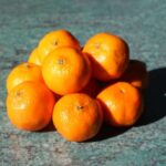 Komanda effektiv lutein istehsalı üçün mikrob platforması hazırlayır