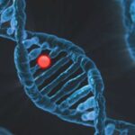 Alimlər ətraf mühitdəki bakteriyalarda yaranan antibiotik müqavimətini aşkar etmək üçün alət təqdim etdilər