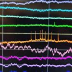 Polariton mayeləri ilə Hokinq effektinin və digər kvant sahə nəzəriyyəsi proqnozlarının simulyasiyası